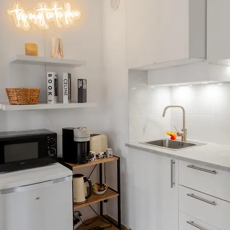 公寓 Lumineux A 2 Mn A Pied De La 戛纳